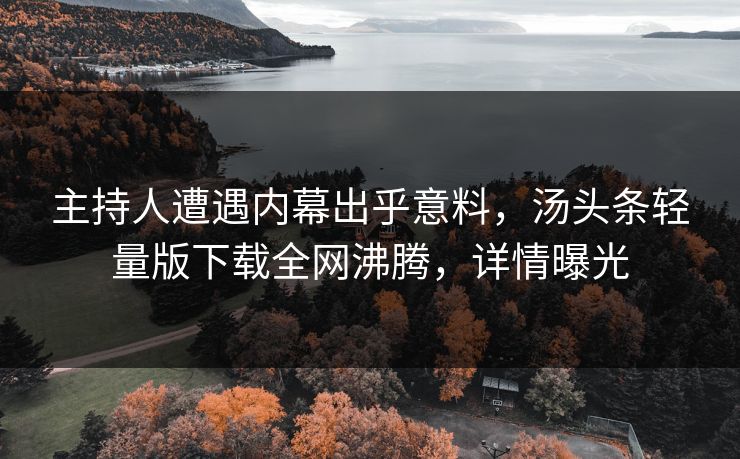 主持人遭遇内幕出乎意料，汤头条轻量版下载全网沸腾，详情曝光