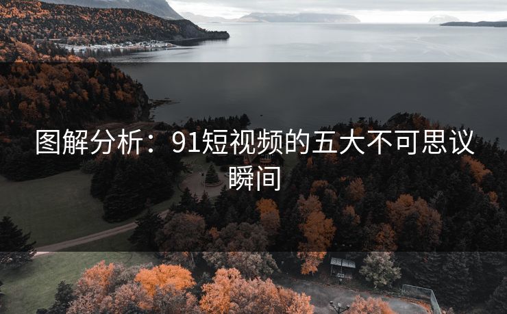 图解分析：91短视频的五大不可思议瞬间