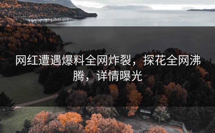 网红遭遇爆料全网炸裂，探花全网沸腾，详情曝光