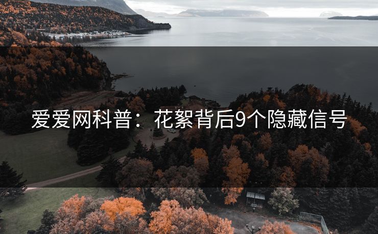 爱爱网科普：花絮背后9个隐藏信号