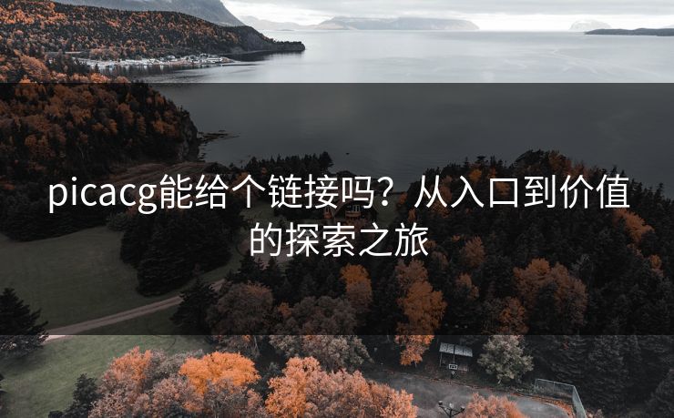 picacg能给个链接吗？从入口到价值的探索之旅