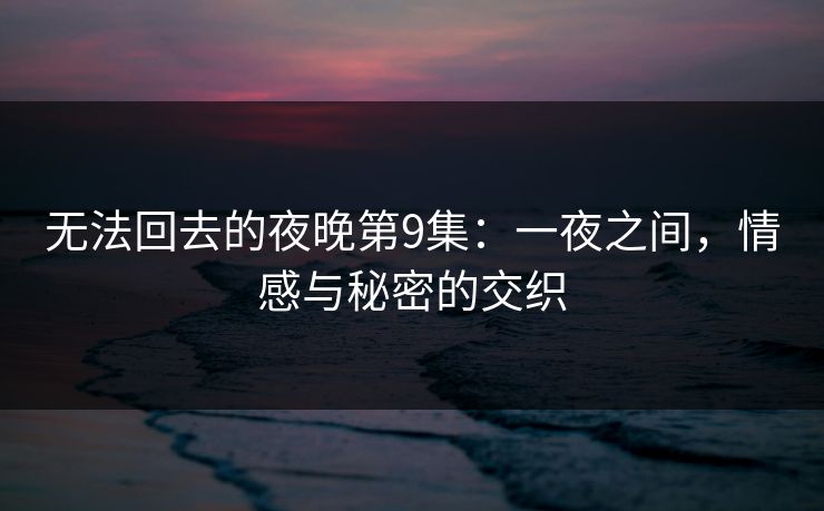 无法回去的夜晚第9集：一夜之间，情感与秘密的交织