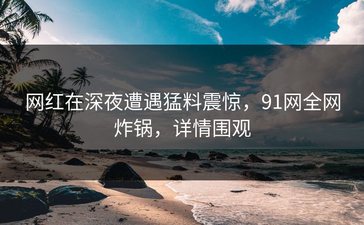 网红在深夜遭遇猛料震惊，91网全网炸锅，详情围观