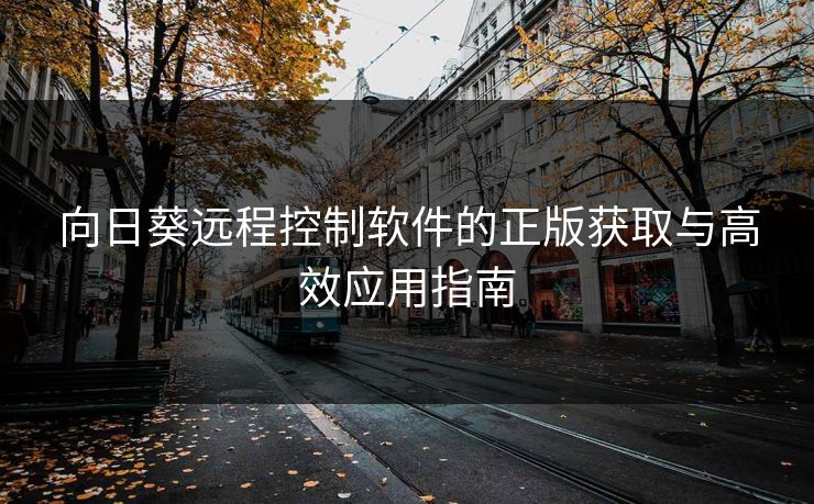 向日葵远程控制软件的正版获取与高效应用指南