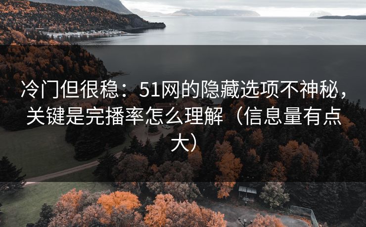 冷门但很稳：51网的隐藏选项不神秘，关键是完播率怎么理解（信息量有点大）