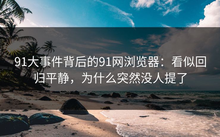91大事件背后的91网浏览器：看似回归平静，为什么突然没人提了